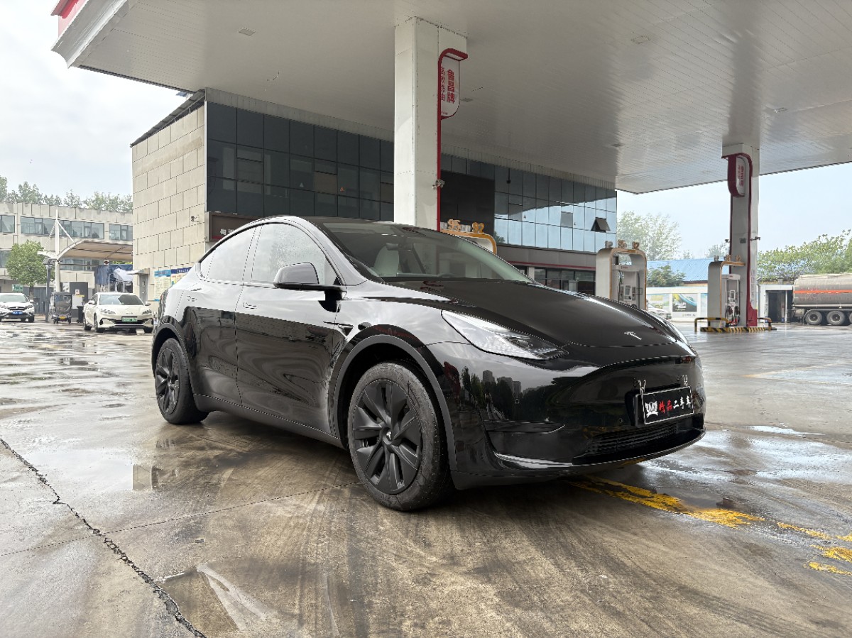 Tesla Model Y 2023 car image 