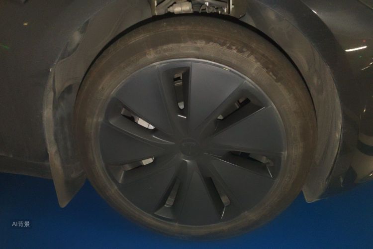 Tesla Model 3 2024 car image #9
