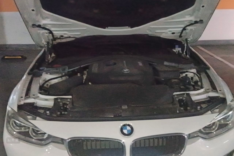 BMW 3 Series 2019 car image #22
