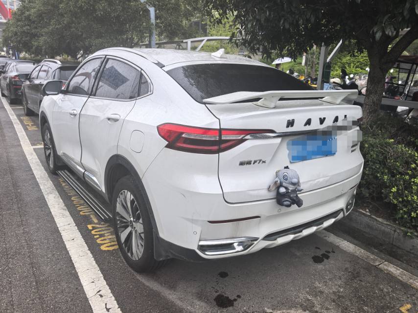 Haval F7x 2020 car image #3