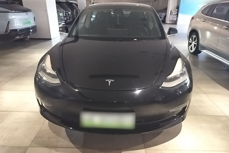 Tesla Model 3 2020 #3 Tesla Model 3 2020 car image #3