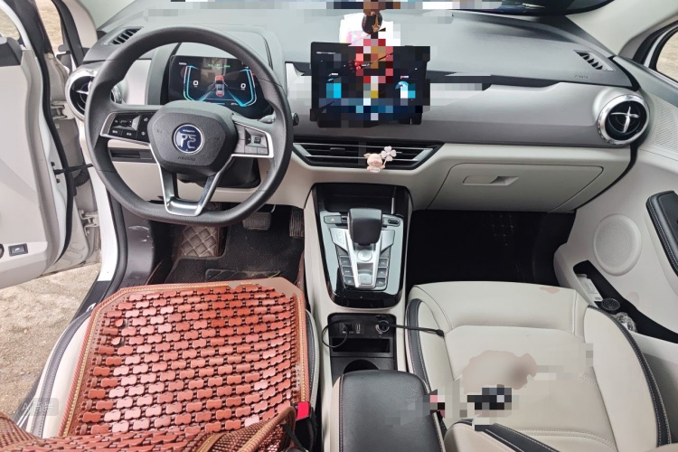 BYD Yuan Pro 2021 immagine di auto #11