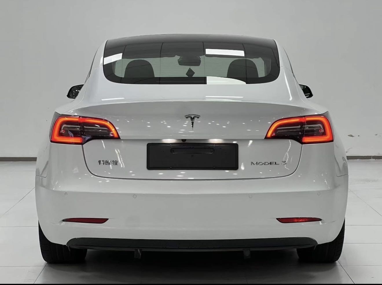 Tesla Model 3 2022 #8 Tesla Model 3 2022 صورة سيارة #8