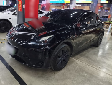 Tesla Model Y 2024 Tesla Model Y 2024 car image