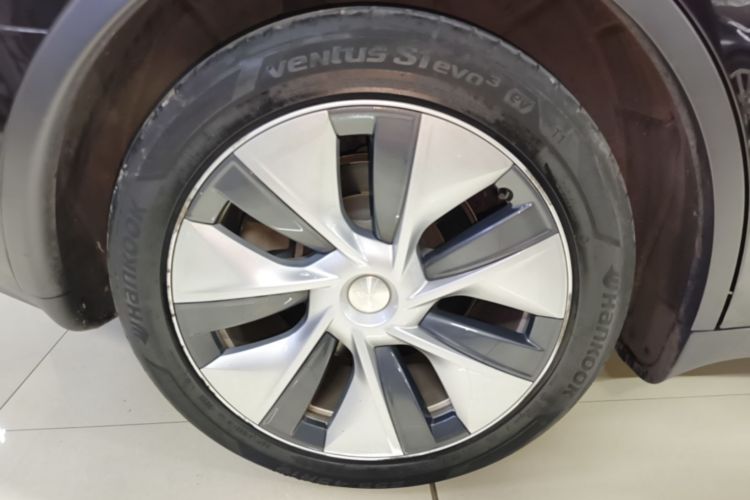 Tesla Model Y 2021 car image #10