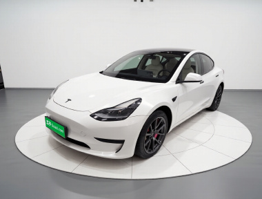 Tesla Model 3 2022 Tesla Model 3 2022 car image