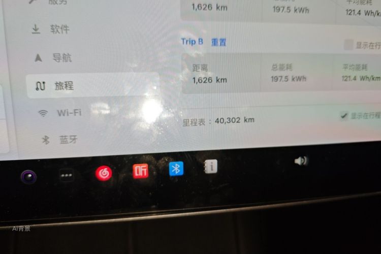 Tesla Model Y 2021 car image #14
