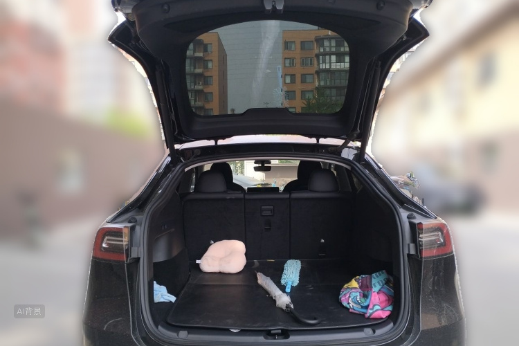 Tesla Model Y 2021 #21 Tesla Model Y 2021 car image #21