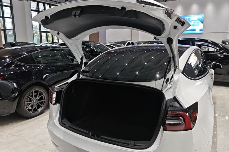 Tesla Model 3 2022 car image #19
