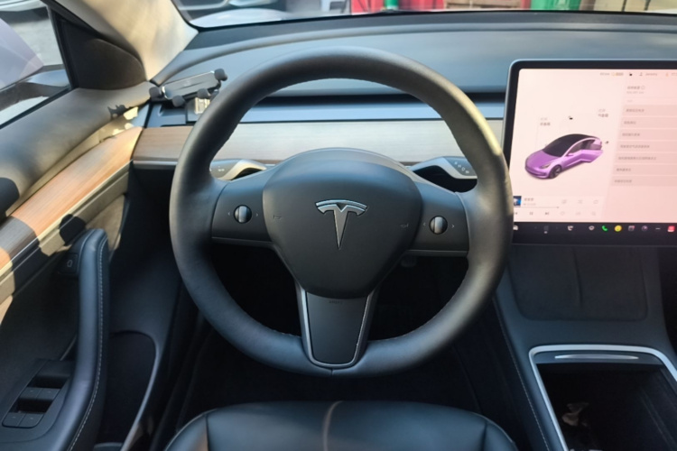 Tesla Model 3 2021 car image #11