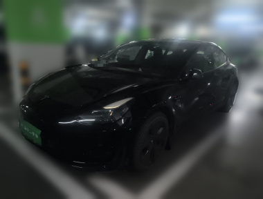 Tesla Model 3 2023 Tesla Model 3 2023 car image