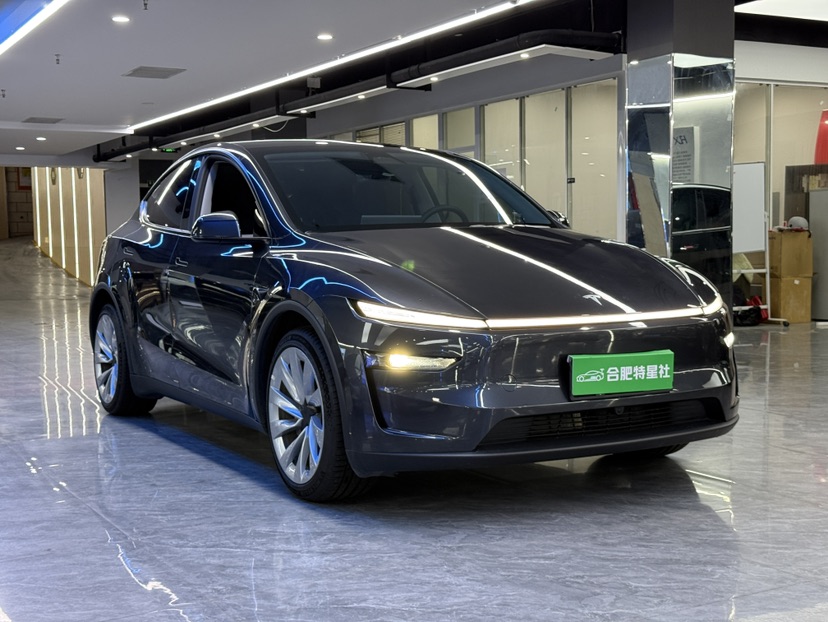 Tesla Model Y 2025 car image #3