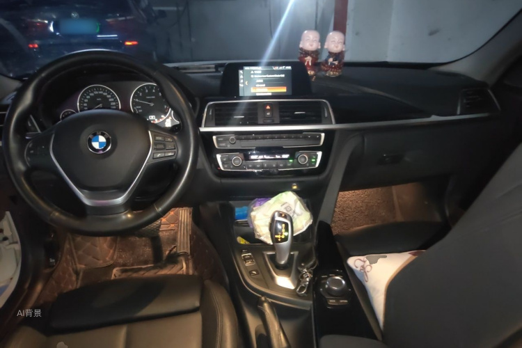 BMW 3 Series 2018 car image #11