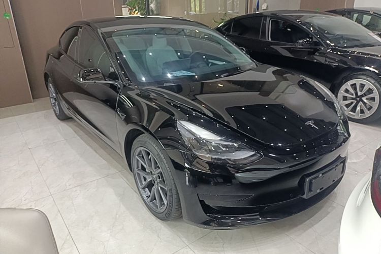 Tesla Model 3 2022 car image #4