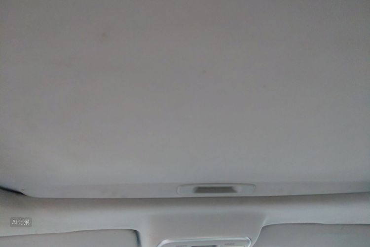 GEELY Emgrand GL 2020 imagem de carro #20