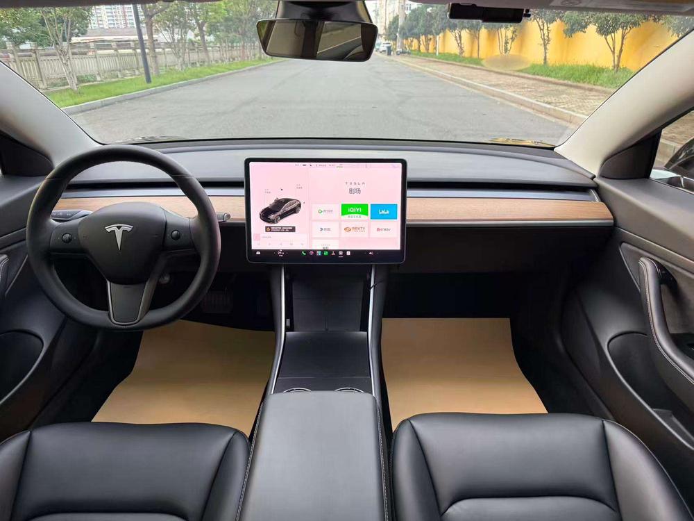 Tesla Model 3 2020 car image #10
