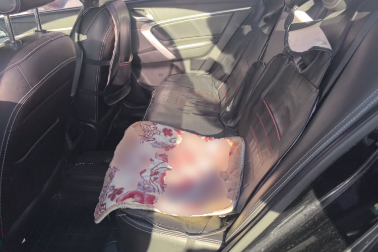 GEELY Emgrand 2017 car image #17
