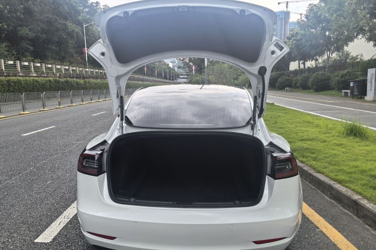 Tesla Model 3 2020 #22 Tesla Model 3 2020 car image #22