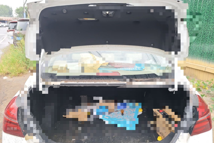 GEELY Emgrand 2018 car image #21