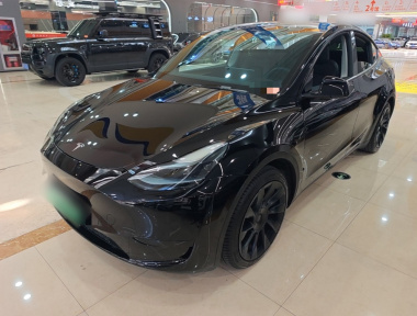 Tesla Model Y 2023 Tesla Model Y 2023 immagine di auto