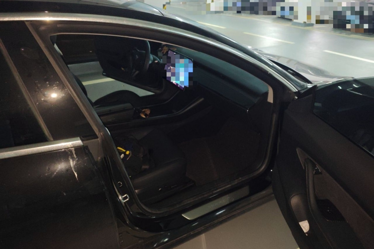 Tesla Model 3 2020 car image #27
