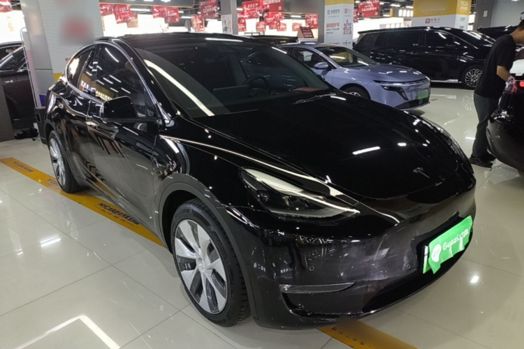 Tesla Model Y 2021 car image #4