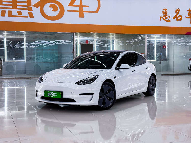 Tesla Model 3 2021 Tesla Model 3 2021 car image
