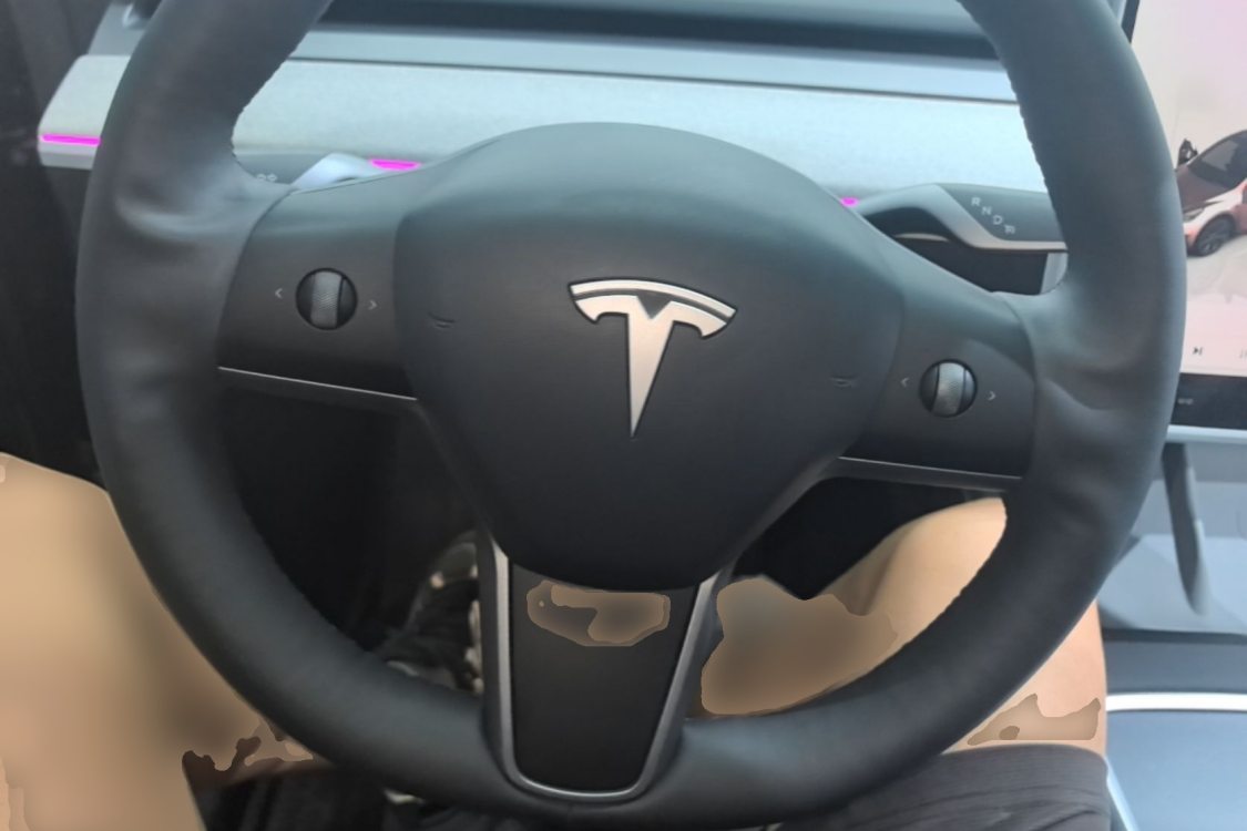 Tesla Model Y 2024 car image #11