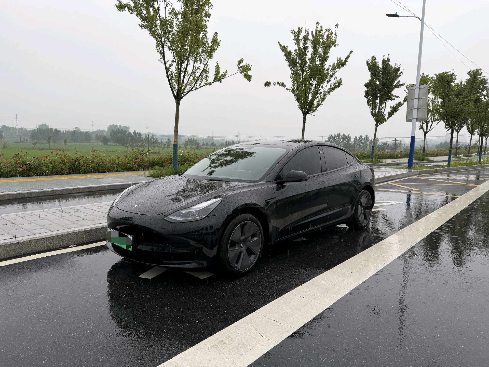Tesla Model 3 2023 car image 