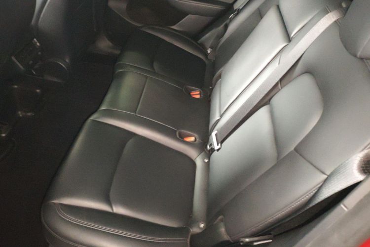 Tesla Model Y 2023 #17 Tesla Model Y 2023 car image #17