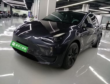 Tesla Model Y 2024 Tesla Model Y 2024 car image