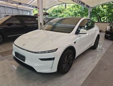 Tesla Model Y 2025 Tesla Model Y 2025 car image
