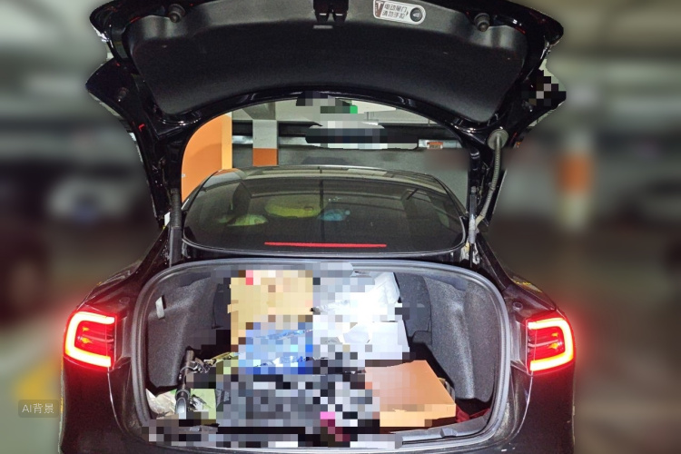Tesla Model 3 2022 car image #21