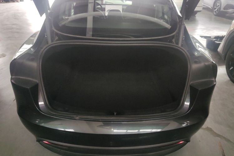Tesla Model 3 2024 car image #19