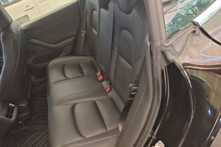Tesla Model 3 2020 #17 Tesla Model 3 2020 car image #17