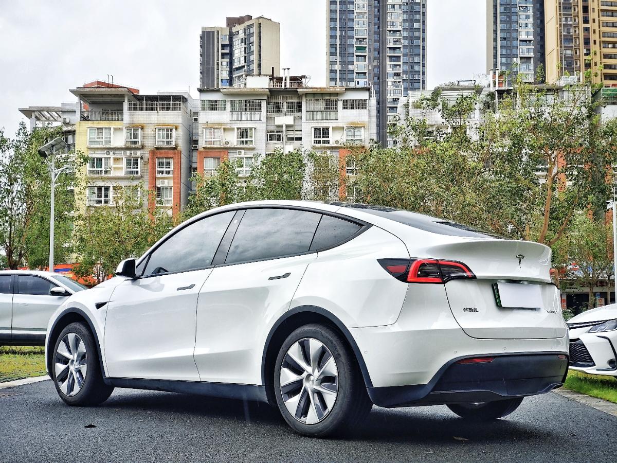 Tesla Model Y 2023 #6 Tesla Model Y 2023 car image #6