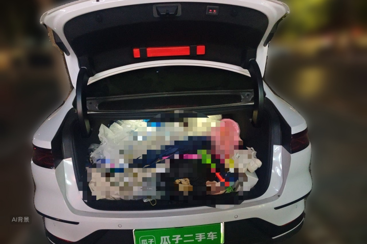 BYD Han 2022 #21 BYD Han 2022 car image #21