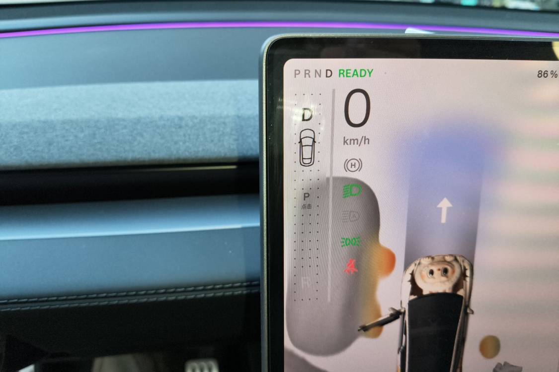 Tesla Model Y 2025 #29 Tesla Model Y 2025 car image #29