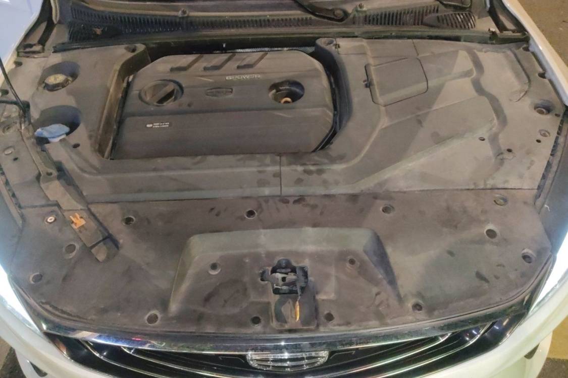 GEELY Binray 2020 #10 GEELY Binray 2020 صورة سيارة #10