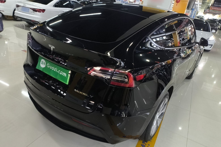 Tesla Model Y 2021 car image #7