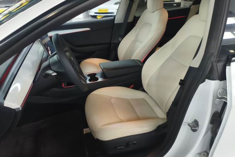 Tesla Model 3 2021 car image #19