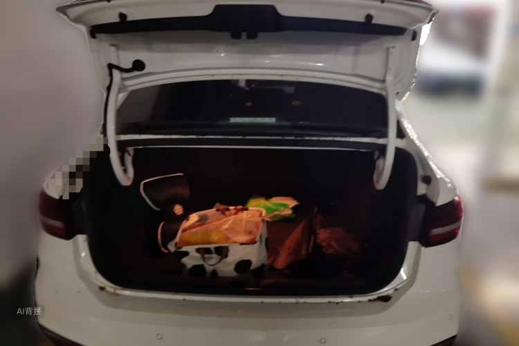 Volkswagen Lavida 2022 car image #21