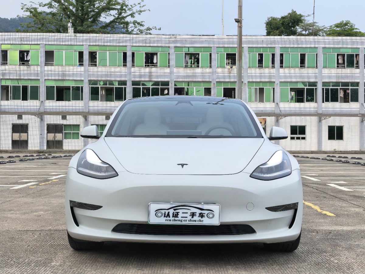 Tesla Model 3 2020 car image #2