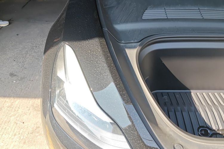 Tesla Model Y 2023 #24 Tesla Model Y 2023 car image #24