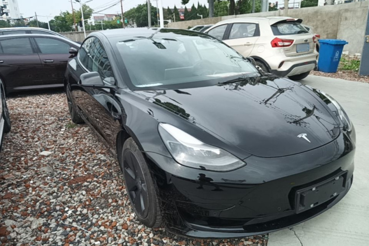 Tesla Model 3 2021 #6 Tesla Model 3 2021 car image #6
