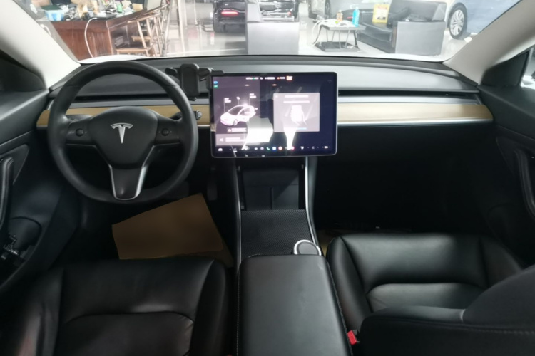 Tesla Model 3 2020 car image #10
