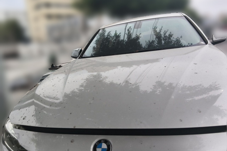 BMW 3 Series 2017 car image #3