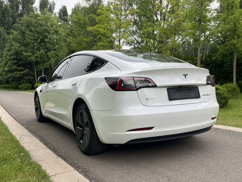 Tesla Model 3 2023 #5 Tesla Model 3 2023 car image #5