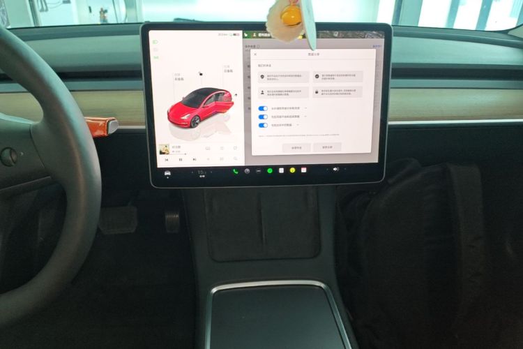 Tesla Model 3 2023 #13 Tesla Model 3 2023 car image #13