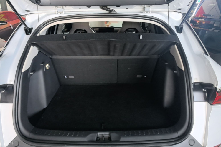 BYD Yuan Plus 2024 car image #19